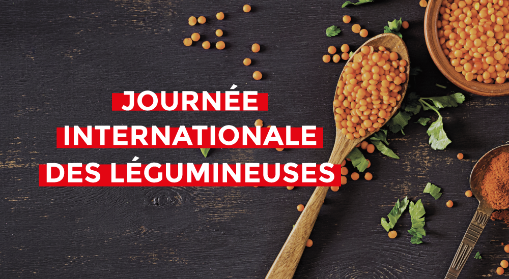 Journée-internationale-legumineuses-soupe-marmite-maintien-temperature-mixer-plongeant-corbe-cuisine-professionnelle.pdf